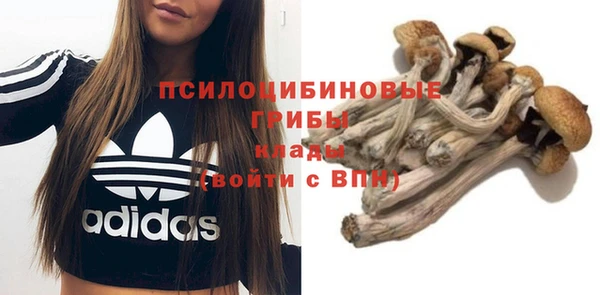 спиды Белоозёрский