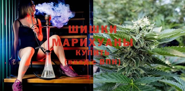 соль курить ск Белокуриха
