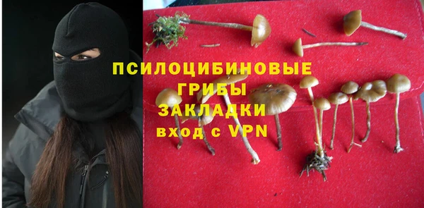 соль курить ск Белокуриха