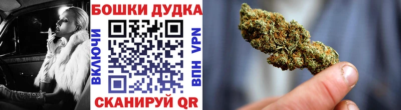 Шишки марихуана план  наркошоп  Богданович 